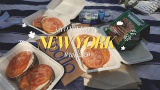 【NYC Vlog】春のニューヨークの日常|Apollo Begles, Central Park, sushi |駐在生活