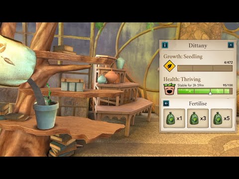 When Do Roses Bloom Hogwarts Mystery
