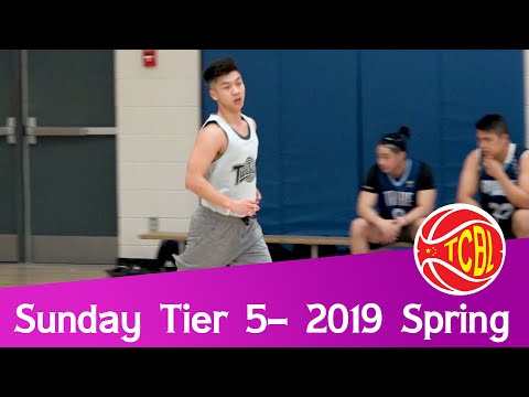 Tune Squad vs Showtime Tribe | Sunday Tier 5 - Tcbl 2019 Spring