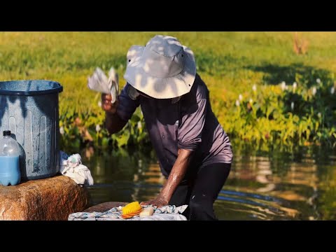 Filhas do Riachão – Documentário