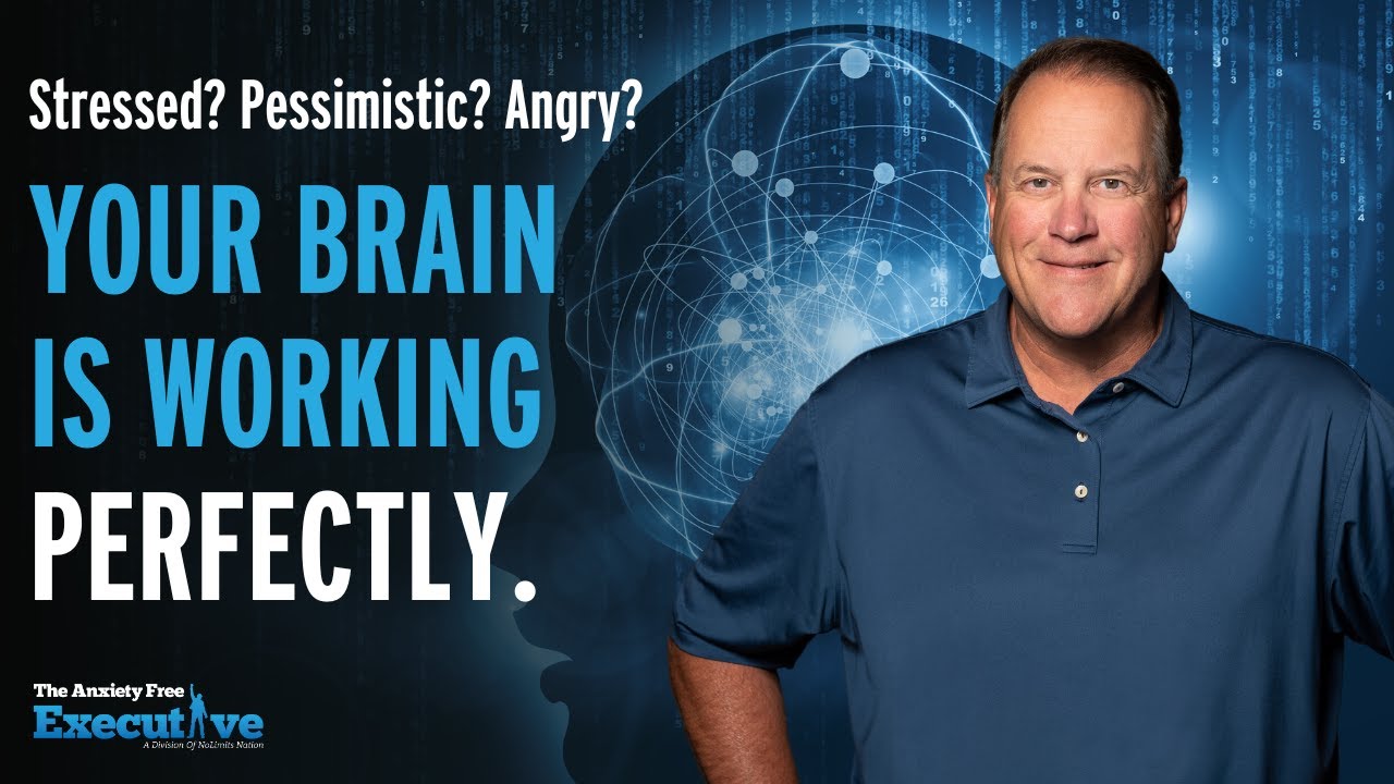 What Your Brain Wants You to Know About Stress