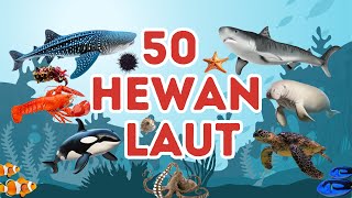 Download lagu Belajar 50 Nama-nama Hewan Laut untuk Anak-anak | Mengenal Nama-nama Ikan Laut | Video Edukasi Anak mp3