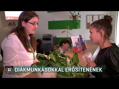 Diákmunkásokkal erősítenének 18-06-05