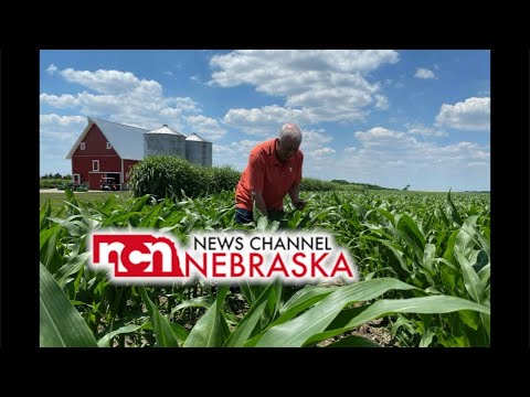 A Farmers Fight 🌽Finding Sustainable Solutions Through Networking | FBN