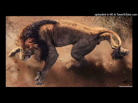 Airwave Feat. Markus Schulz - Angelica (Markus Schulz Remix)