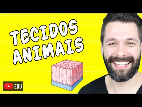 TECIDOS ANIMAIS - HISTOLOGIA ANIMAL - Mapa Mental e Resumo | Biologia com Samuel Cunha