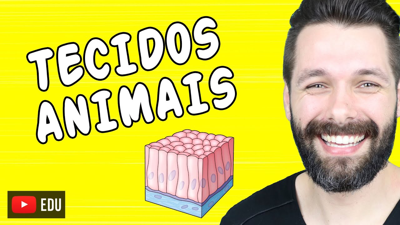 TECIDOS ANIMAIS - HISTOLOGIA ANIMAL - Mapa Mental e Resumo | Biologia com Samuel Cunha
