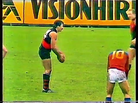 1983 Rd 14 Essendon v Fitzroy
