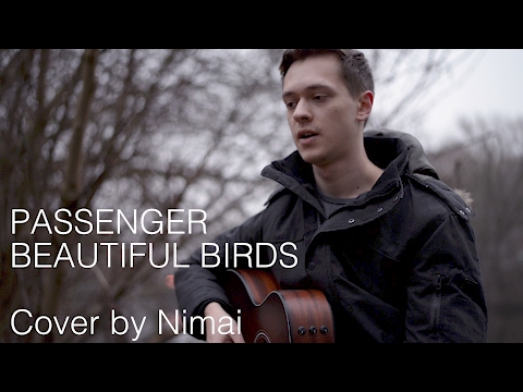 Nimai – Beautiful Birds (Passenger Cover)