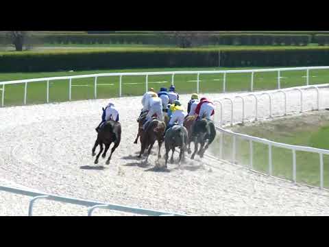 2018.04.08. 1. futam - SÜTVÉNYPUSZTAI HENDIKEP (V/b.) (szintetikus pálya)