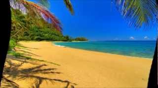 AVISTA -Chca leżeć na plaży