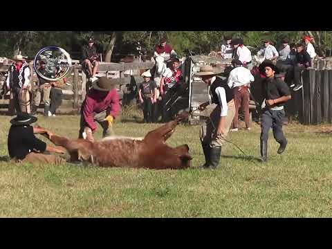 48º Fiesta Provincial de la Yerra, Pialada de Vacunos día Sabado, Cayasta Junio 2024
