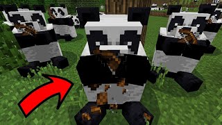 КАК ЗАСТАВИТЬ ПАНДУ СЪЕСТЬ АРБАЛЕТ И АЛМАЗ в Minecraft PE 1.8.0.10 | БАГИ, ФАКТЫ ТРЮКИ, СЕКРЕТЫ