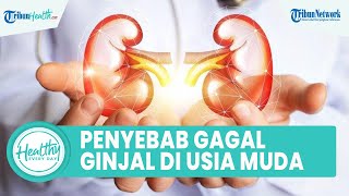 Kenali Penyebab Gagal Ginjal Kronis di Usia Muda yang Picu Kematian, Ini Penjelasan Dokter Ahli