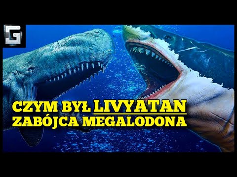 Czym był Livyatan Zabójca Megalodonów?