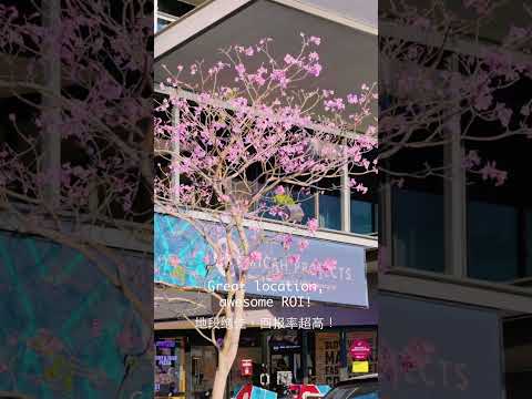 215 Boundary Street, West End, QLD 4101, 7 slaapkamers, 2 badkamers, House