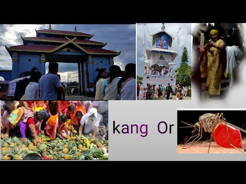 kang, kanglel kok kaibasu kang da 🤣🤣🤣//