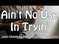 Ain't No Use In Tryin' - Trampled By Turtles - Easy Beginner Bluegrass Ukulele Tutorial