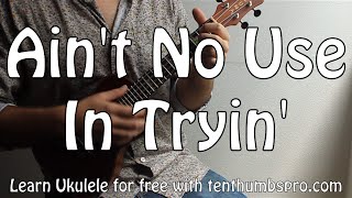 Ain't No Use In Tryin' - Trampled By Turtles - Easy Beginner Bluegrass Ukulele Tutorial