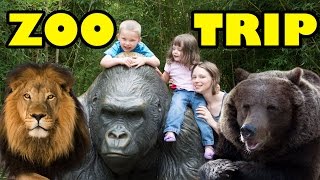 Zoo Animals - Cute Animals - Funny Animals - An Amazing Zoo Trip