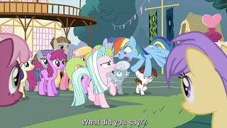 Unicorns, Pegasus & Earth Ponies Get Split - My Little Pony Season 9 Episode 25