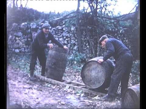 Lo mèg-vin e la citra jalats