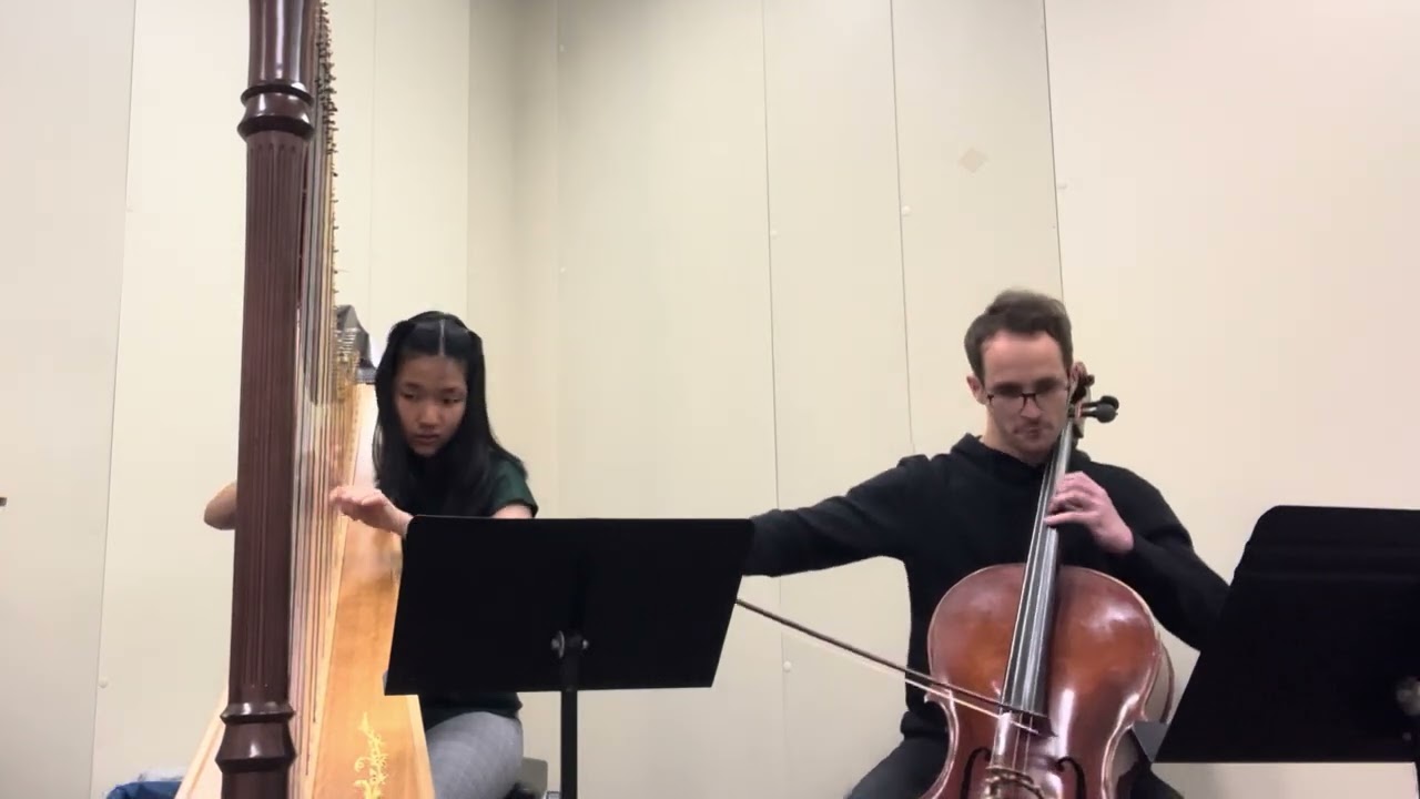 Promotional video thumbnail 3 for Freelance Cellist
