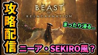 #1【ビーストオブリンカネーション】まったり浸りながら攻略配信🔥ニーアと隻狼の雰囲気でパリィゲー？ソウルライクとか死にゲーの要素はある？レビューしてく！【Beast of Reincarnation】