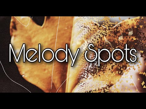 Melody Spots #4 Felsentor ´Kuhstall´ Sächsische Schweiz Flori-Sun