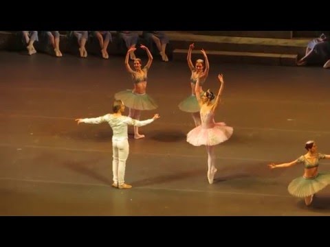 La Bayadere 15.04.16 (3) -  M. Allash, M. Lobukhin