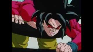 Porta-No tienes hueco (Dragon ball z)