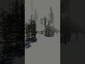 Video Thumbnail for Lower Fishing Lake Campground After the Fire #ShoeFire #SaskLakes #NarrowHillsProvincialPark