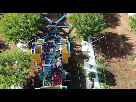 Frumaco Professional Harvesting