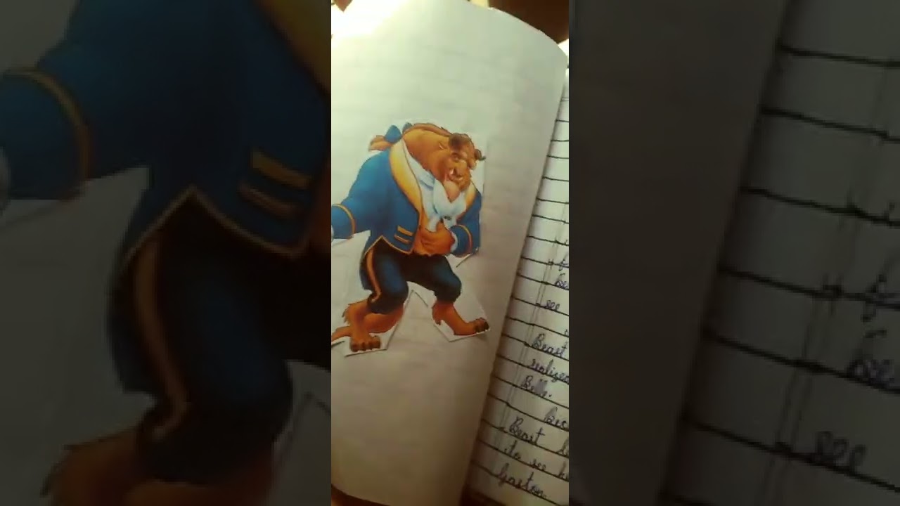 A booklet made by me |