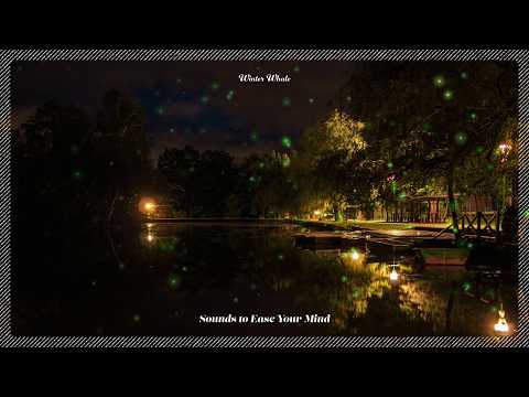 Peaceful Lake Sounds at Night | Frogs, Crickets, Owls, Nature Sounds - Relaxing Sleep | 수면 ASMR