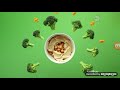 Sponsor PBS Aldi Nature Cat January 2017 C H 54 KET