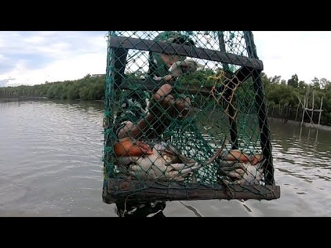 EP185:PART2-ISANG TIMING LIMANG PIRASONG ALIMANGO ANG HULI