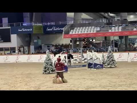 Navarone 7yo @ CSI Opglabbeek