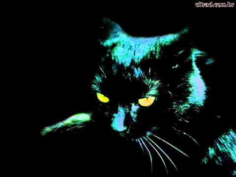 The Black Cat - Lothlórien