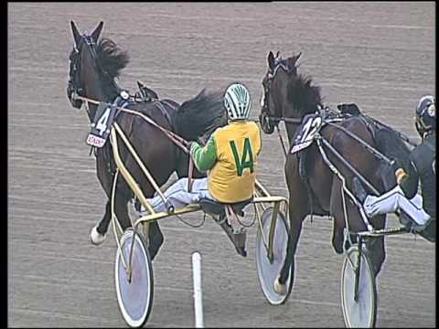 Trotto 21/10/2016 - 2ª corsa