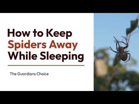 YouTube video about: How to keep spiders away from bed?