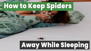10 Simple Ways to Keep Spiders Away While Sleeping | The Guardians Choice