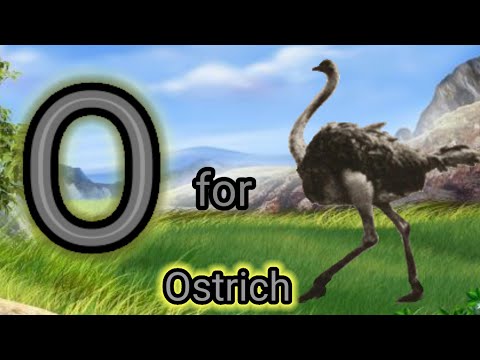 O for Ostrich | A to Z learning videos for toddlers | a for apple | children videos