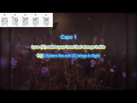 Love is Like a Butterfly by Dolly Parton play along with scrolling guitar chords and lyrics