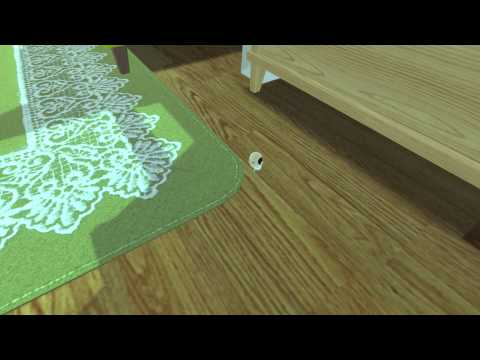 Finding Ojipockle! Video