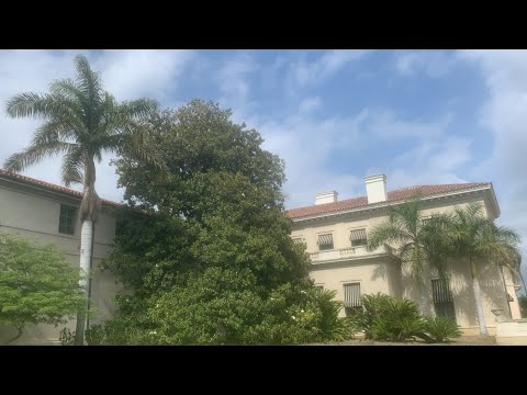 The royal palm is a great species for Southern California