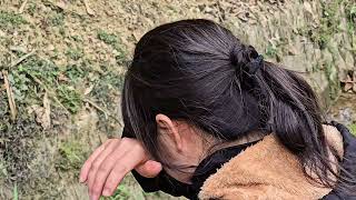 Download lagu Sung Luyen Searches for CEO James in Despair – A Painful Truth and a Ray of Hope from A Pao . mp3