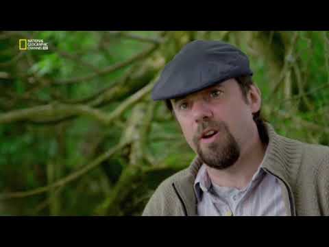 Nazi Bauwerke - Utopie und Größenwahn: Hitlers  Westwall