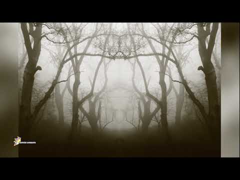 Tawnhriat leh thlahrang lawrkhawm 13-18 November,2023 chhunga chhuak dahkhawm