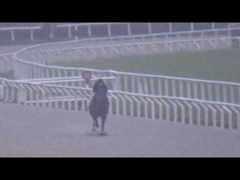 NOPAYA NAA-REVISTA INVASOR